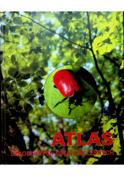 Atlas szkodliwych owadów leśnych