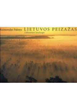 Lietouvo Peizazas