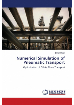 Numerical Simulation of Pneumatic Transport