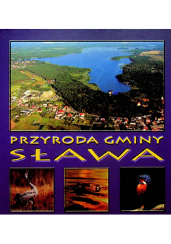 Przyroda gminy sława