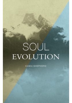 Soul Evolution