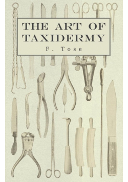 The Art of Taxidermy