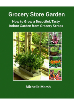 Grocery Store Garden