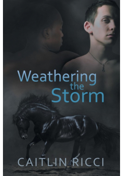 Weathering the Storm