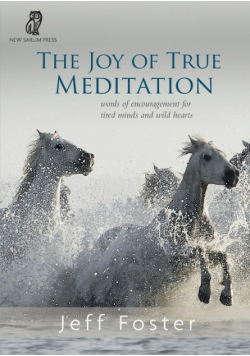 The joy of True Meditation