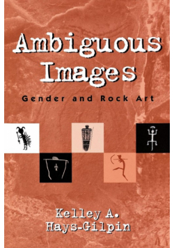 Ambiguous Images