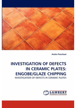 Investigation of Defects in Ceramic Plates