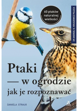 Ptaki w ogrodzie - jak je rozpoznawać