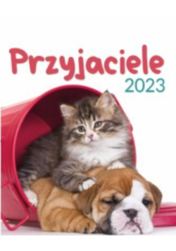 Kalendarz 2023 Wieloplanszowy Przyjaciele ARTSEZON