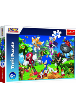 Puzzle Sonic i przyjaciele 160