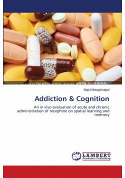 Addiction & Cognition