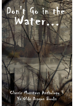 Don't Go In the Water