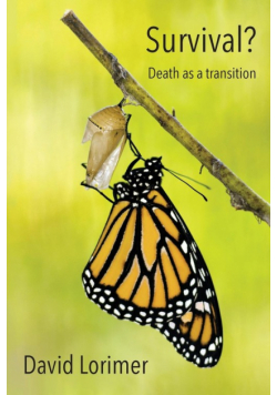 Survival? Death as a Transition