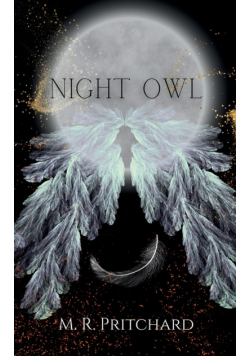 Night Owl