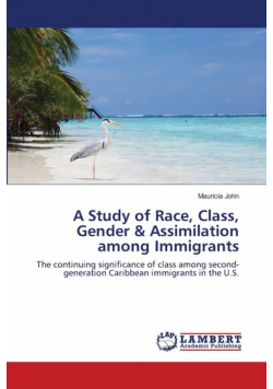 A Study of Race, Class, Gender & Assimilation among Immigrants