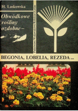 Begonia lobelia rezeda