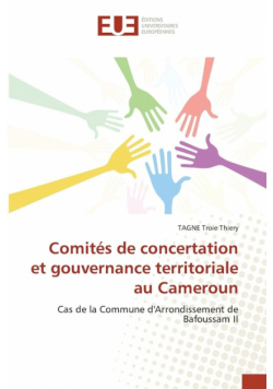 Comités de concertation et gouvernance territoriale au Cameroun