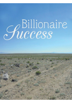 Billionaire Success
