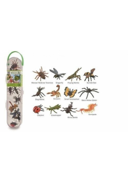 Insekty mini box