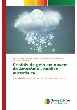 Cristais de gelo em nuvem da Amazônia - análise microfísica
