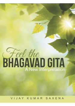 Feel the Bhagavad Gita