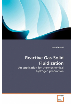Reactive Gas-Solid Fluidization