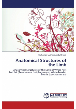 Anatomical Structures of the Limb