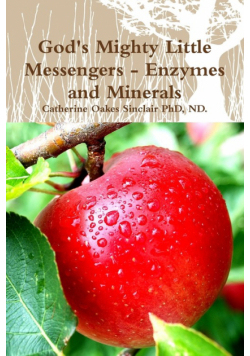 God's Mighty Little Messengers - Enzymes and Minerals