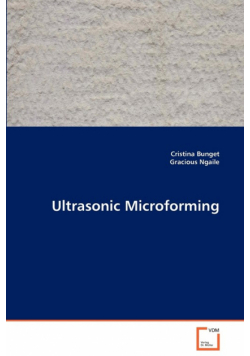 Ultrasonic Microforming