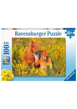 Puzzle XXL 100 Kucyki