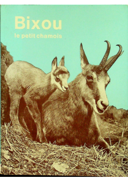 Bixou le petit chamois