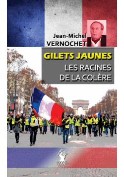 Gilets Jaunes - Les racines de la colère