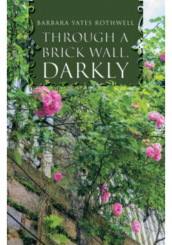Through a Brick Wall, Darkly
