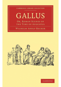 Gallus