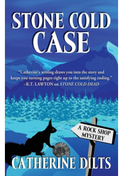 Stone Cold Case