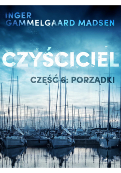 Czyściciel. Czyściciel 6: Porządki