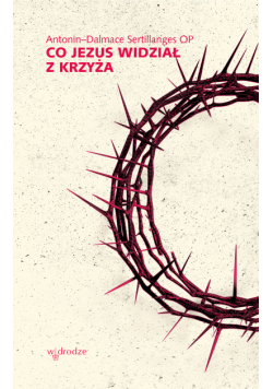 Co Jezus widział z krzyża