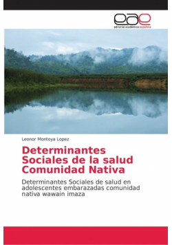 Determinantes Sociales de la salud Comunidad Nativa
