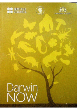 Darwin now