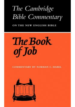 The Book of Job