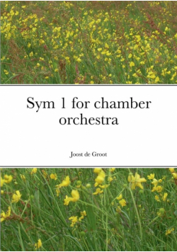 Sym 1 for chamber orchestra