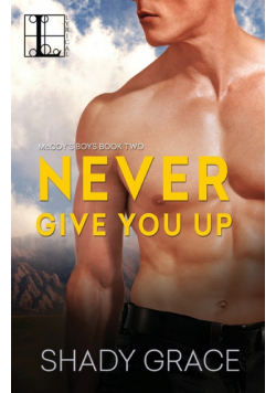 Never Give You Up