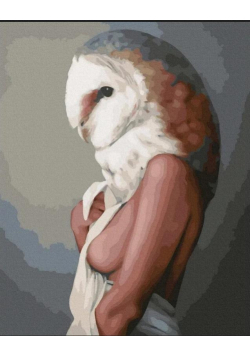 Malowanie po numerach - Kobieta Sowa 40x50 cm