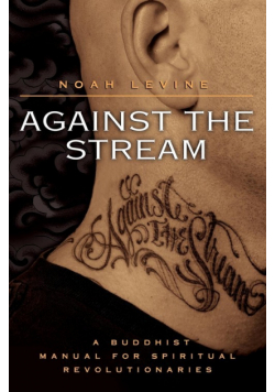 Against the Stream