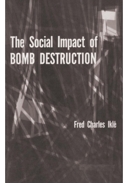The Social Impact of Bomb Destruction