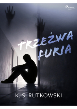 Trzeźwa furia