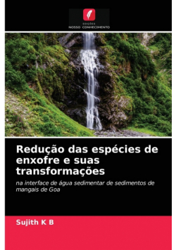 Redução das espécies de enxofre e suas transformações