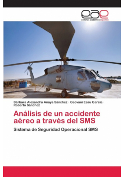 Análisis de un accidente aéreo a través del SMS