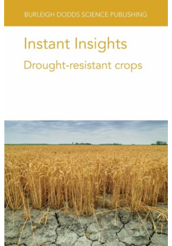 Instant Insights