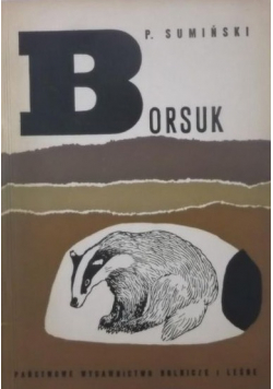 Borsuk
